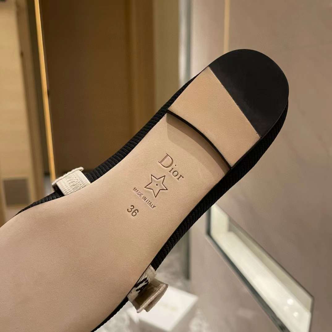 Dior Ballet Flat view 8