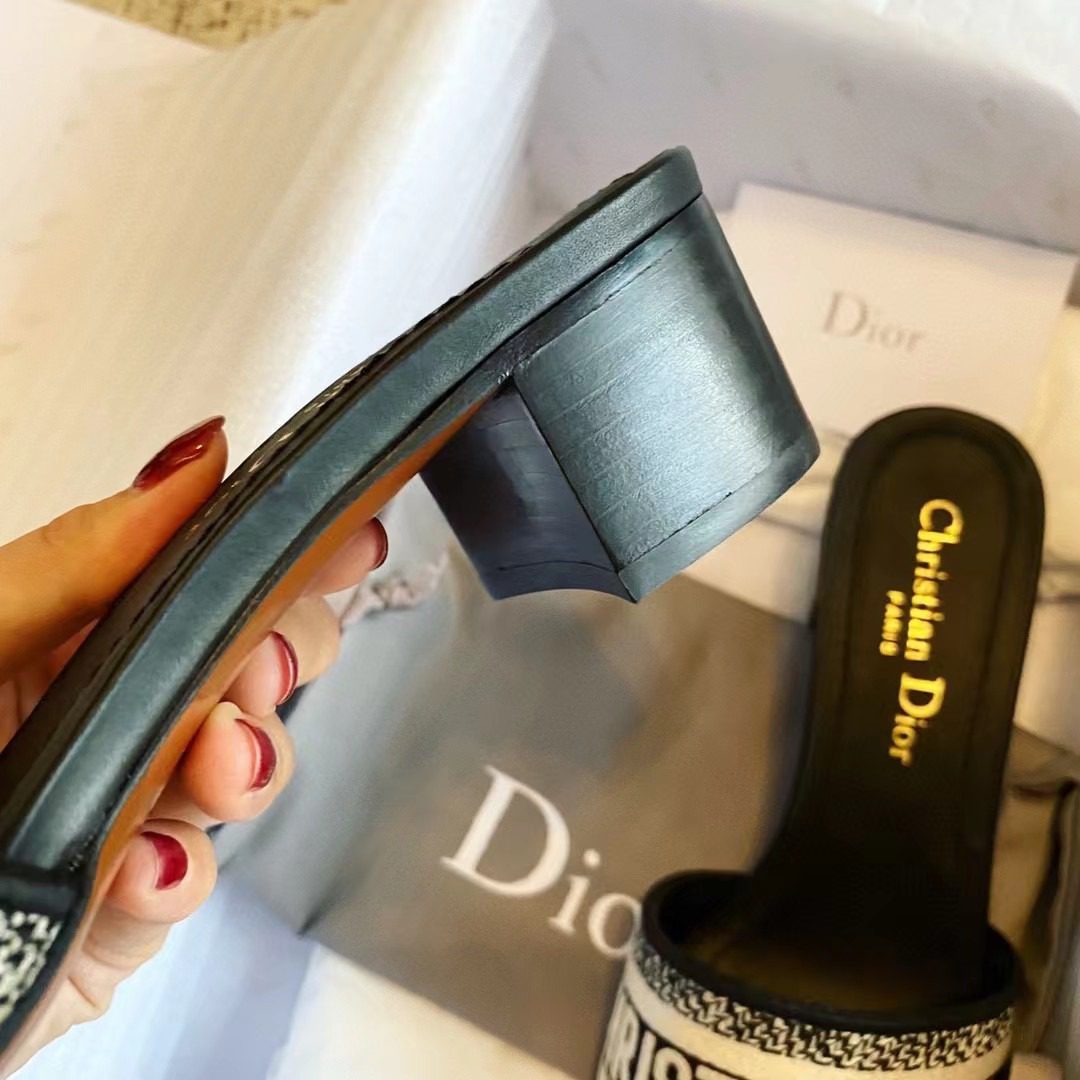 Dior DWAY Embroidered slippers view 5