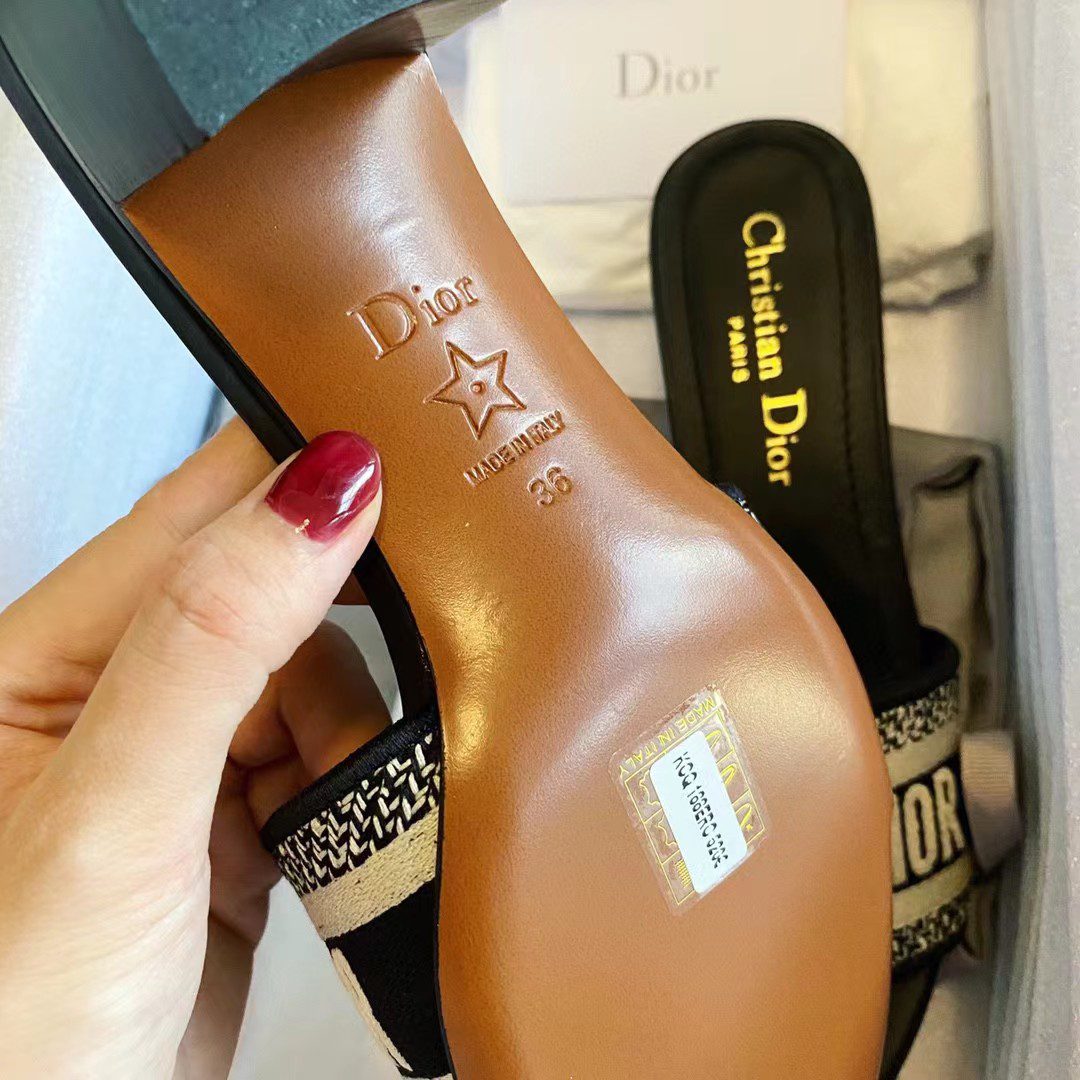Dior DWAY Embroidered slippers view 9