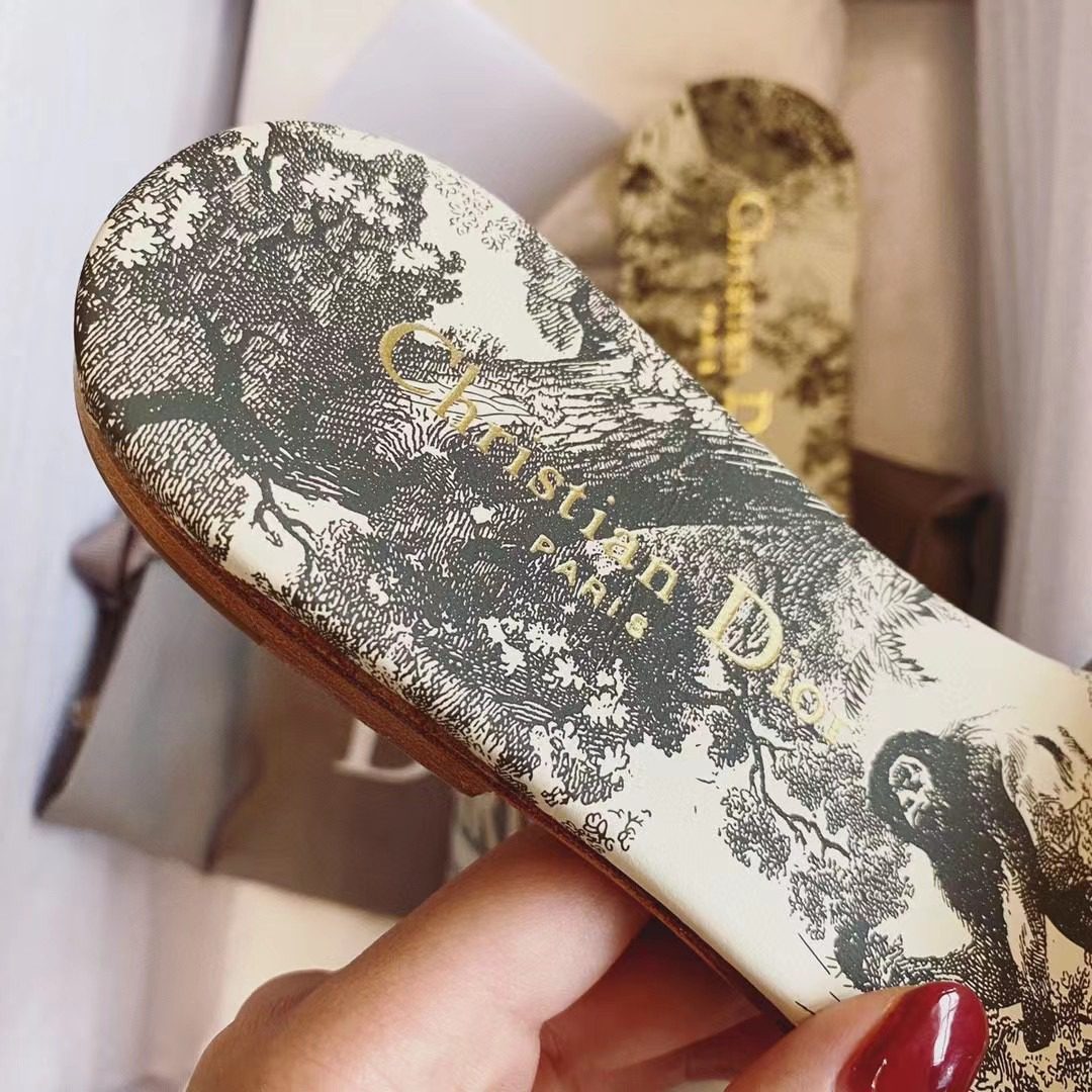 Dior DWAY Embroidered slippers view 10