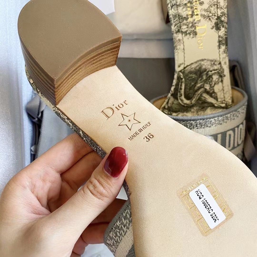 Dior DWAY Embroidered slippers view 5