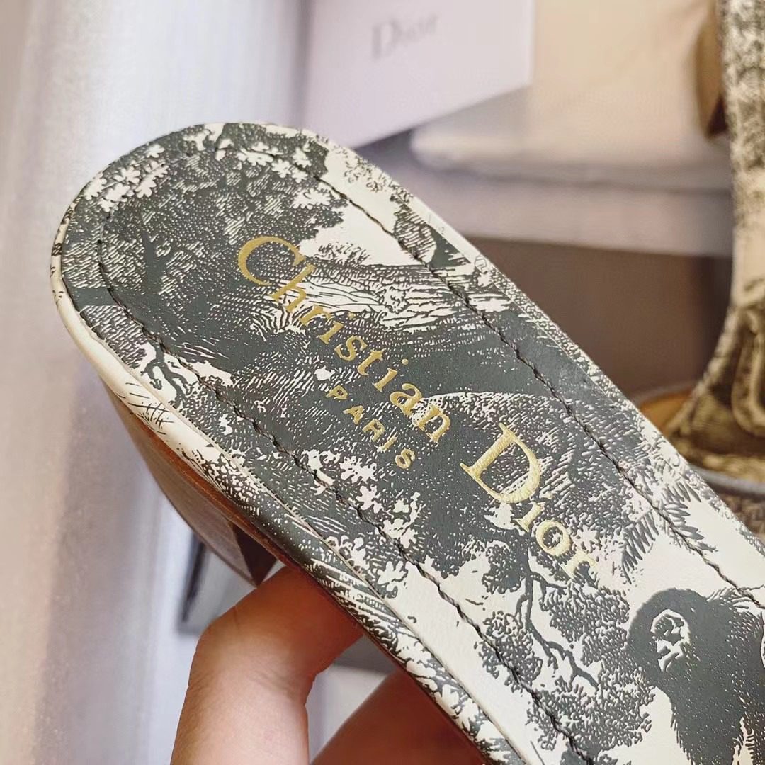 Dior DWAY Embroidered slippers view 6