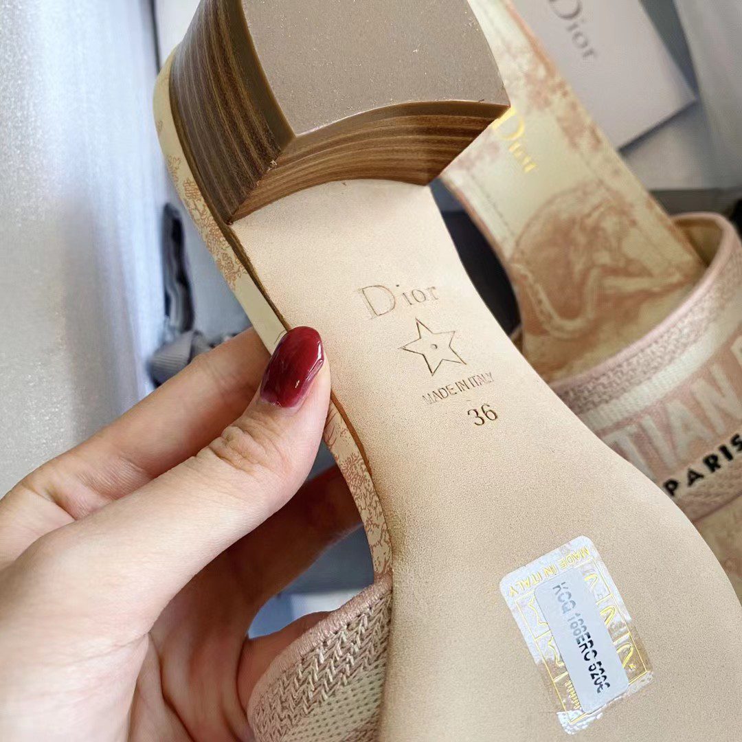 Dior DWAY Embroidered slippers view 5
