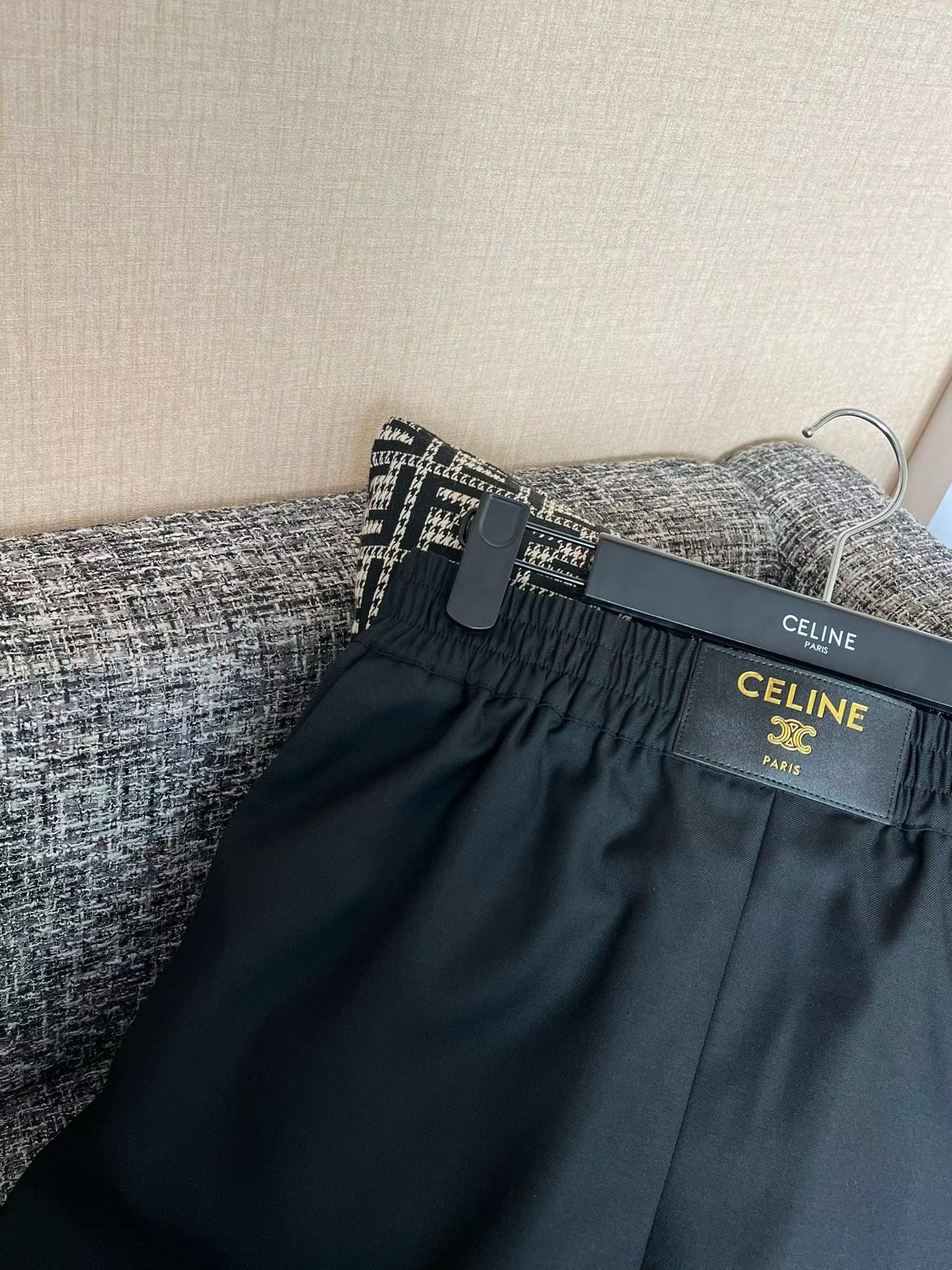 Celine Shorts view 4