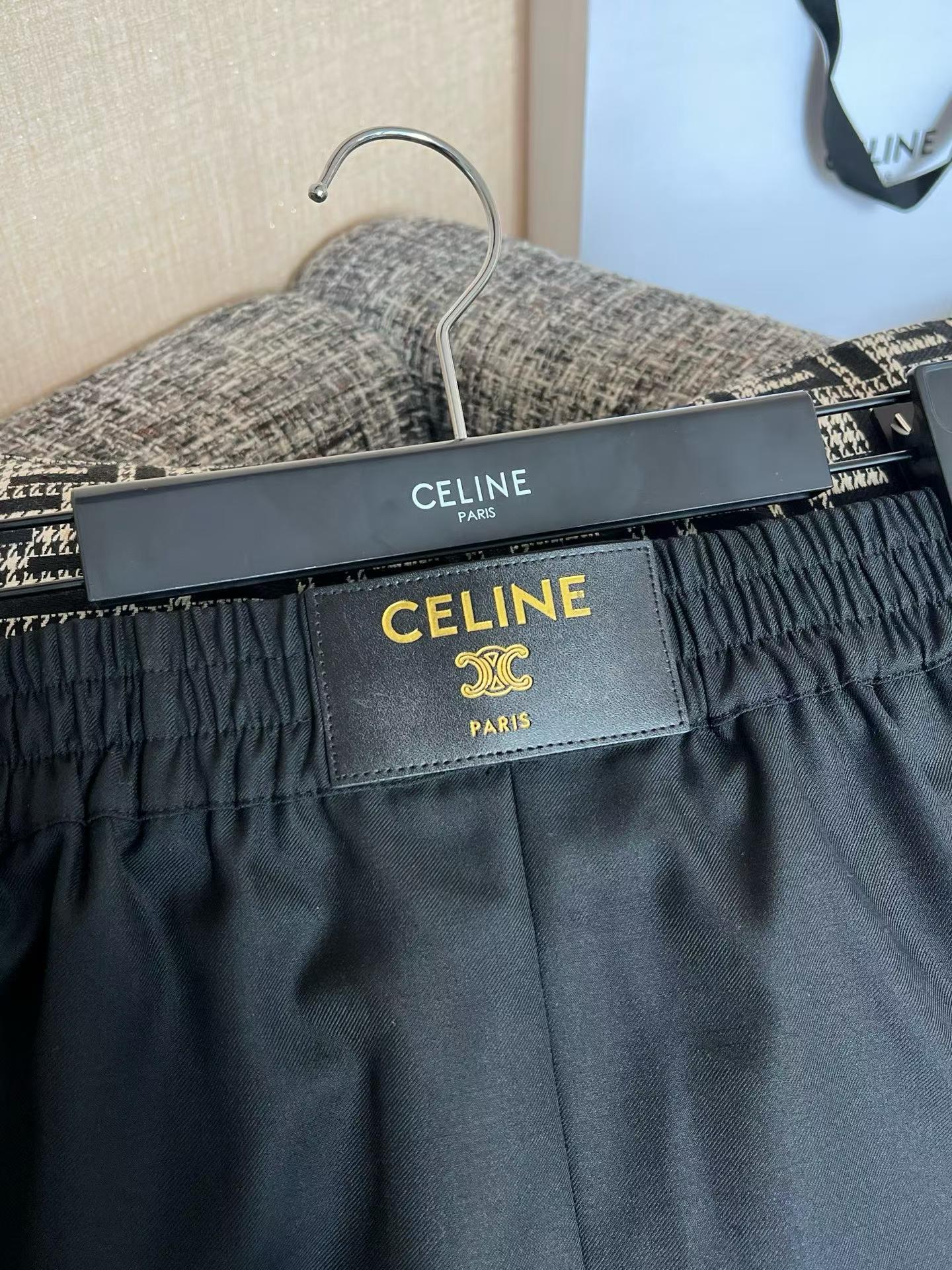 Celine Shorts view 5