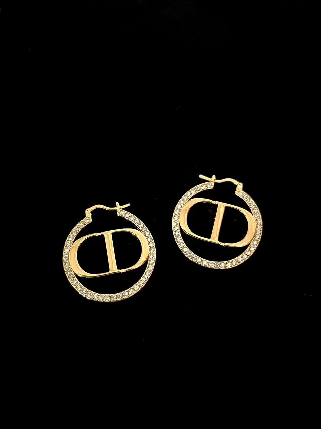 Dior Petit CD Earrings view 2