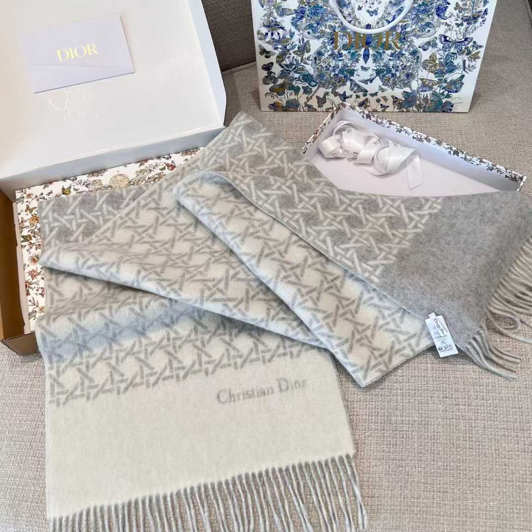 Dior Scarf view 2