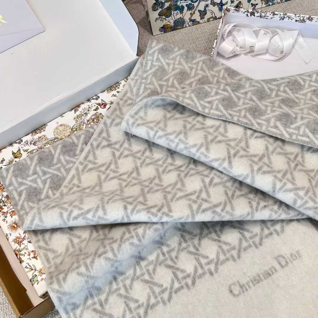 Dior Scarf view 3