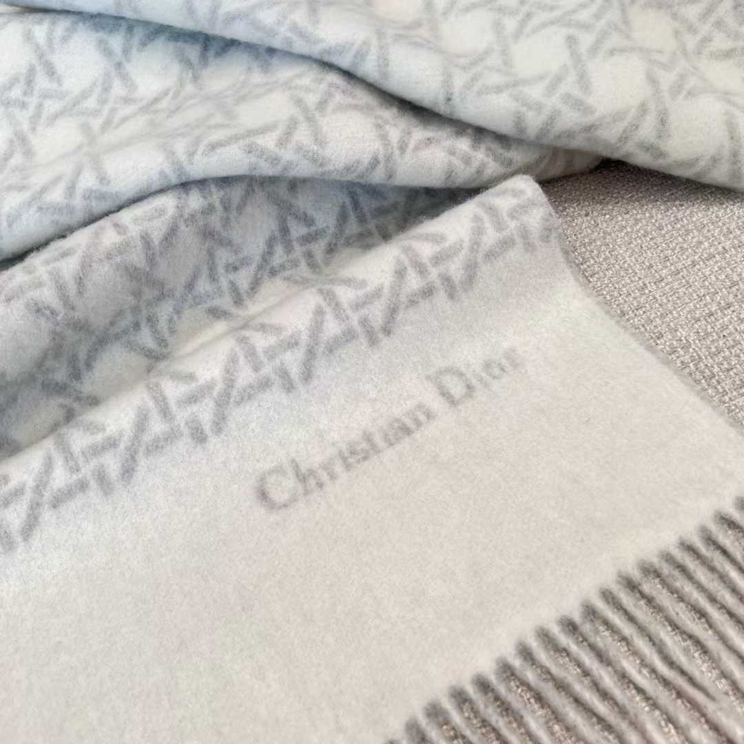Dior Scarf view 4