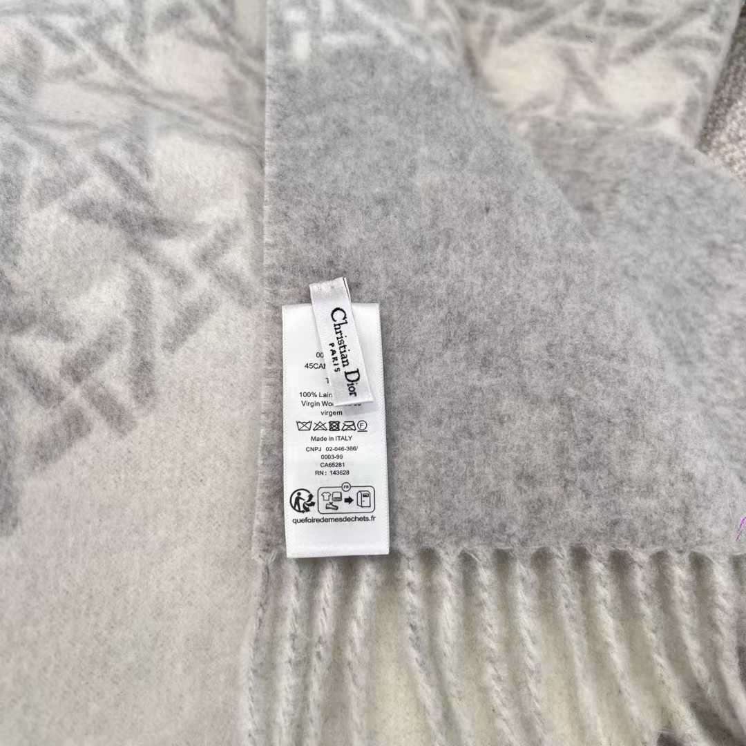 Dior Scarf view 6