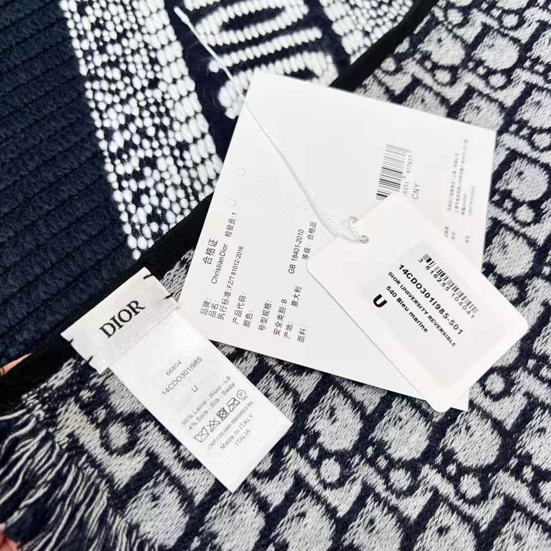 Dior Scarf view 3
