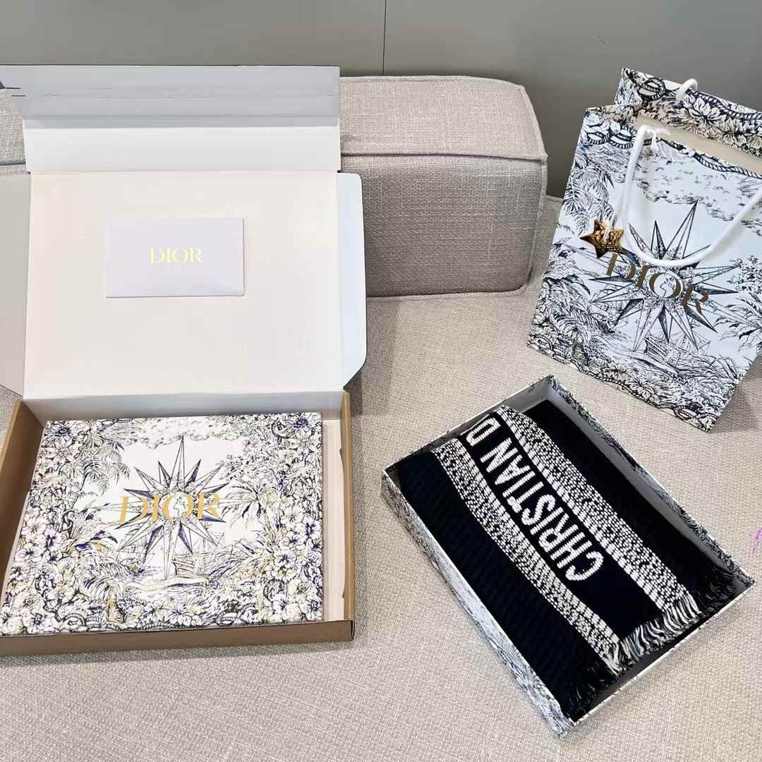 Dior Scarf view 6
