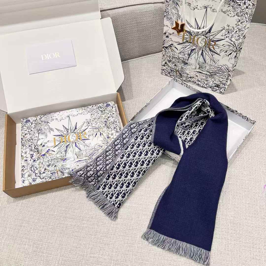 Dior Scarf view 2