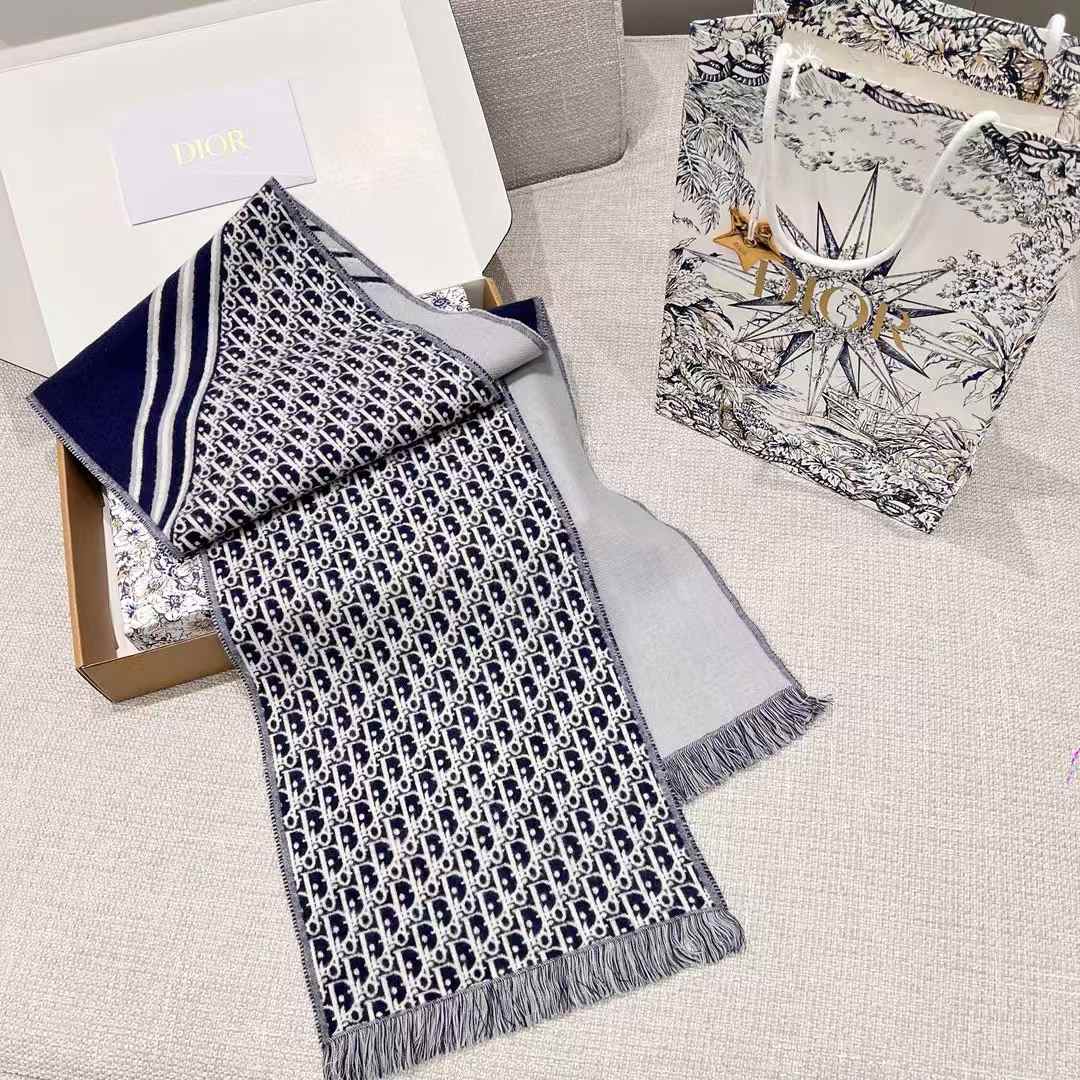 Dior Scarf view 3