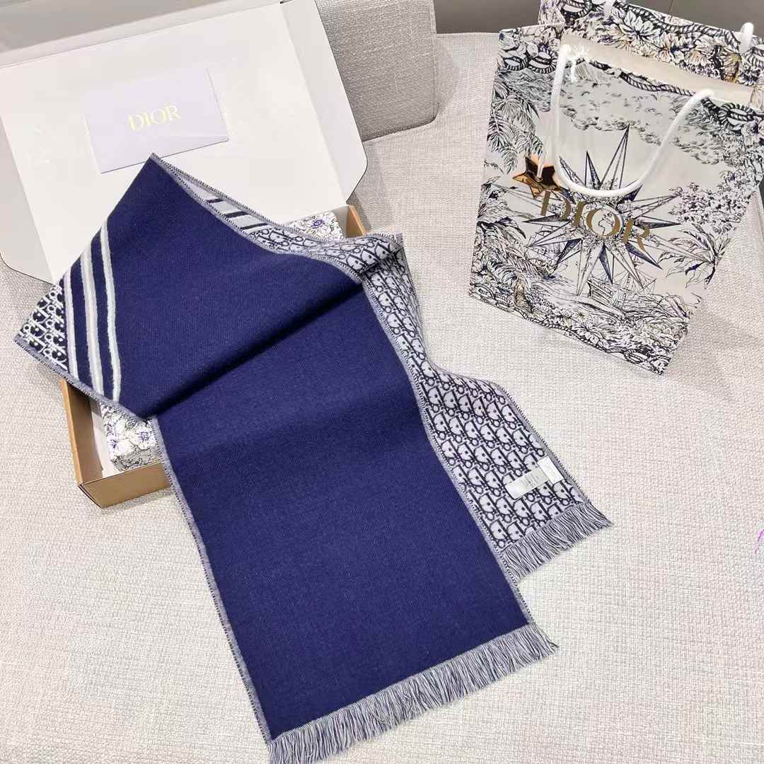 Dior Scarf view 4