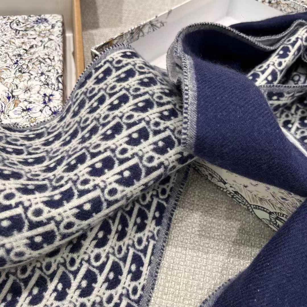 Dior Scarf view 8