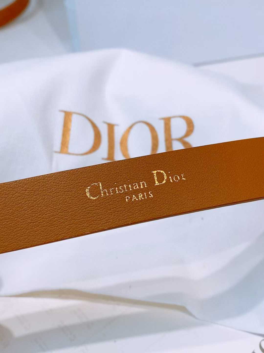 Dior Women’s belts view 9