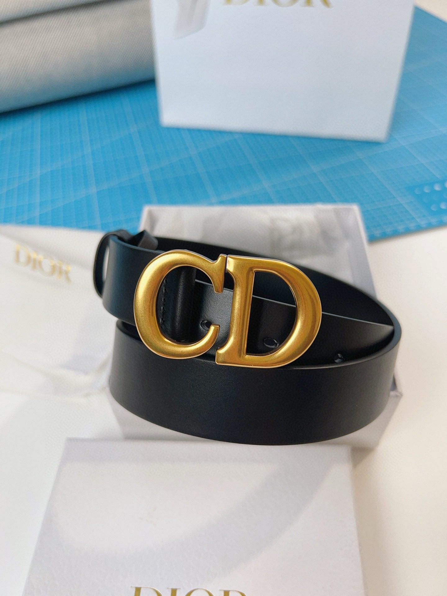Dior LOGO belt view 2