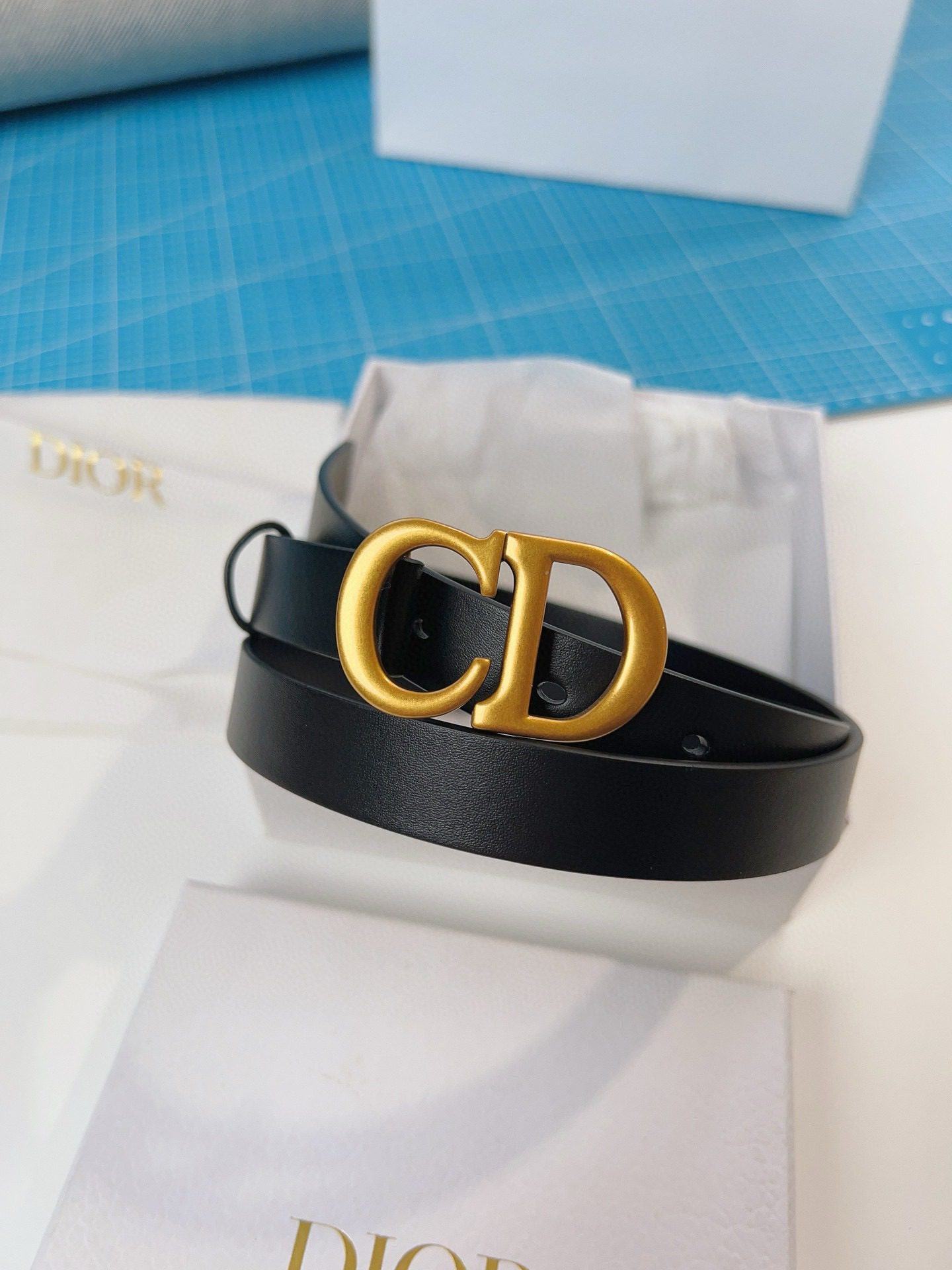 Dior LOGO belt view 9