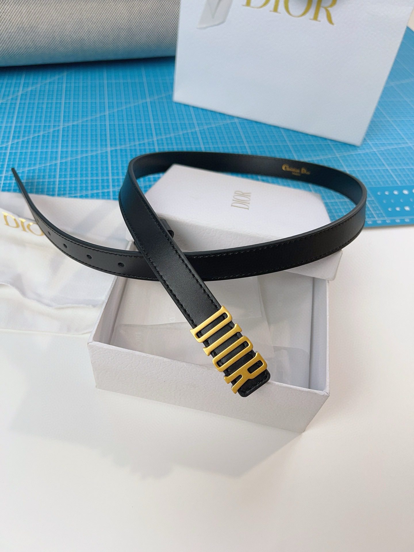 Dior LOGO belt view 2