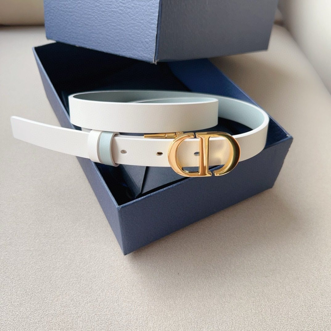 Dior Montaigne Cd Logo Belt view 2