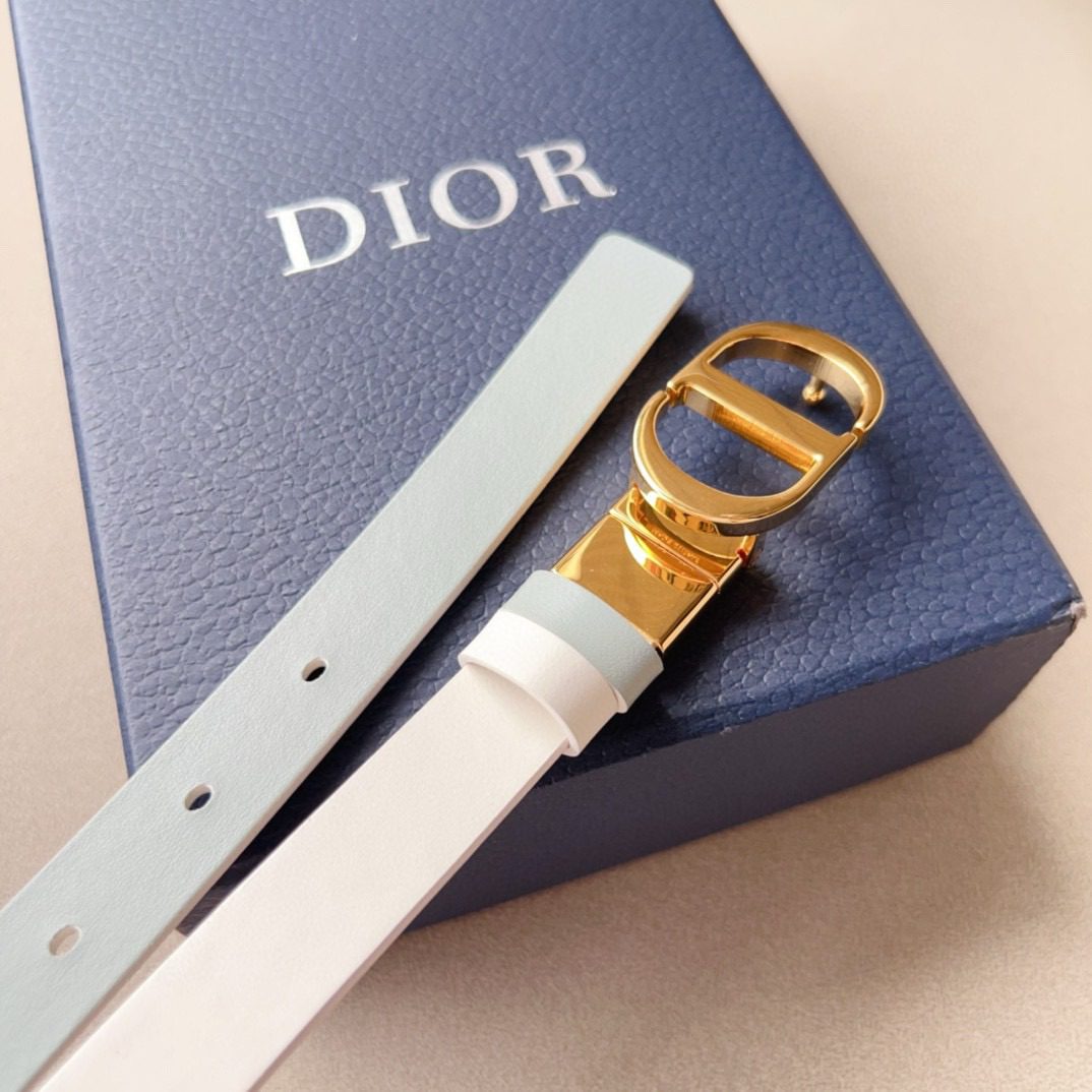 Dior Montaigne Cd Logo Belt view 3