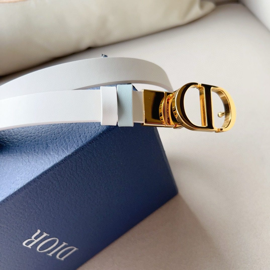 Dior Montaigne Cd Logo Belt view 4