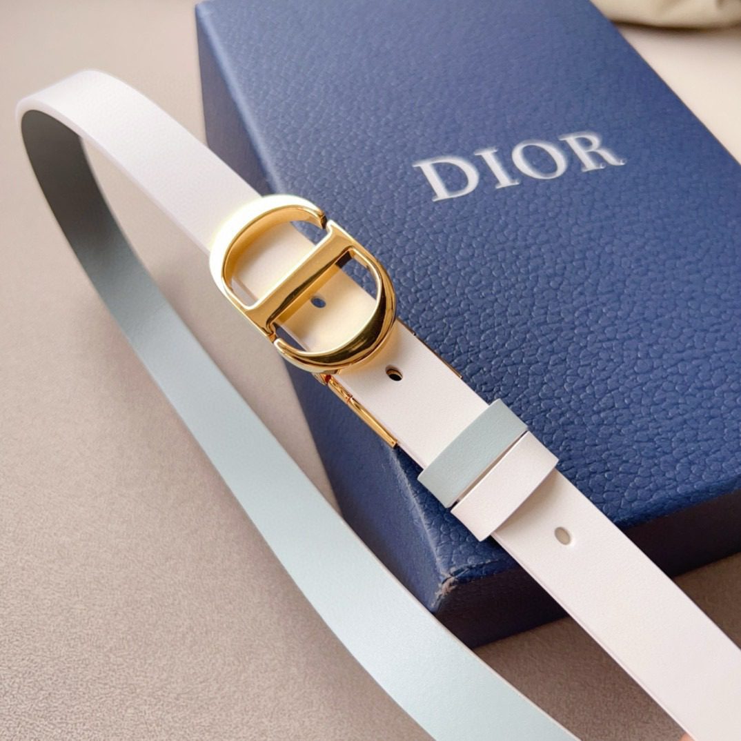 Dior Montaigne Cd Logo Belt view 5