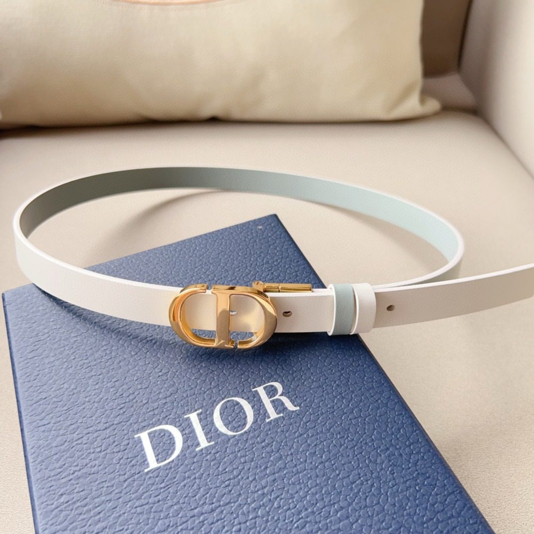 Dior Montaigne Cd Logo Belt view 6