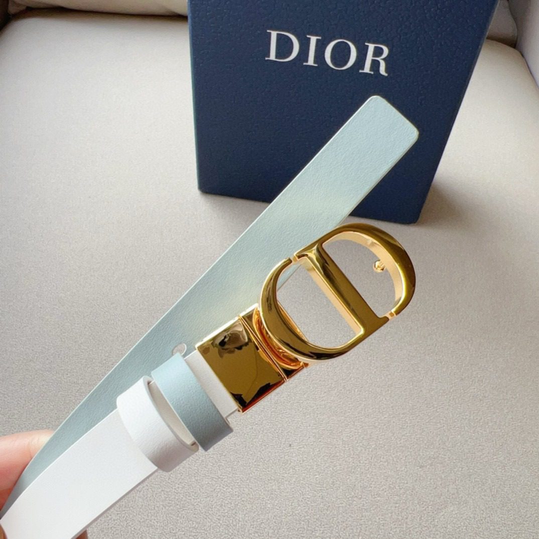 Dior Montaigne Cd Logo Belt view 7
