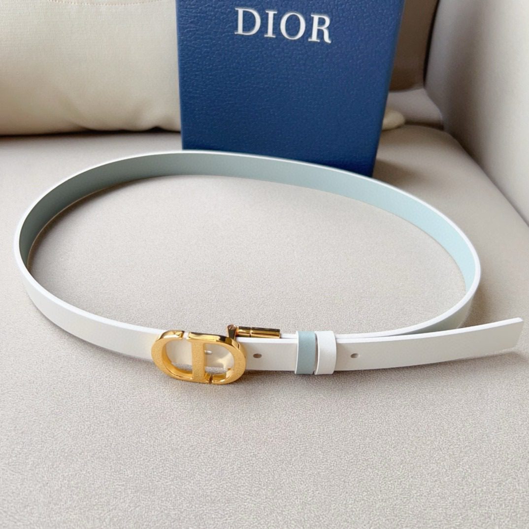 Dior Montaigne Cd Logo Belt view 8