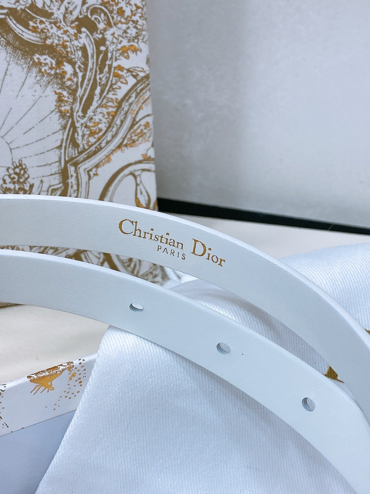 Dior Montaigne Jolie Belt view 11
