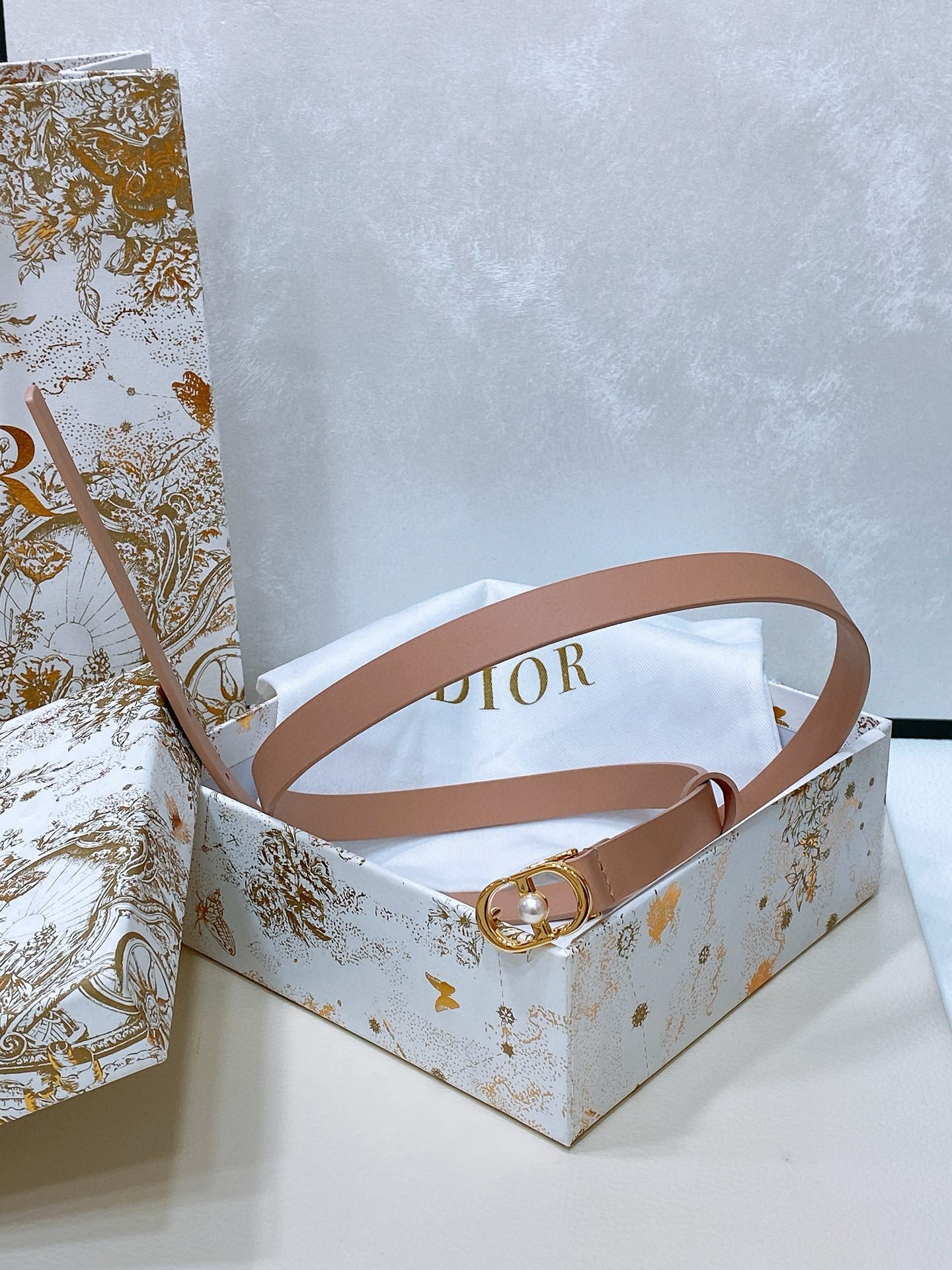 Dior Montaigne Jolie Belt view 14