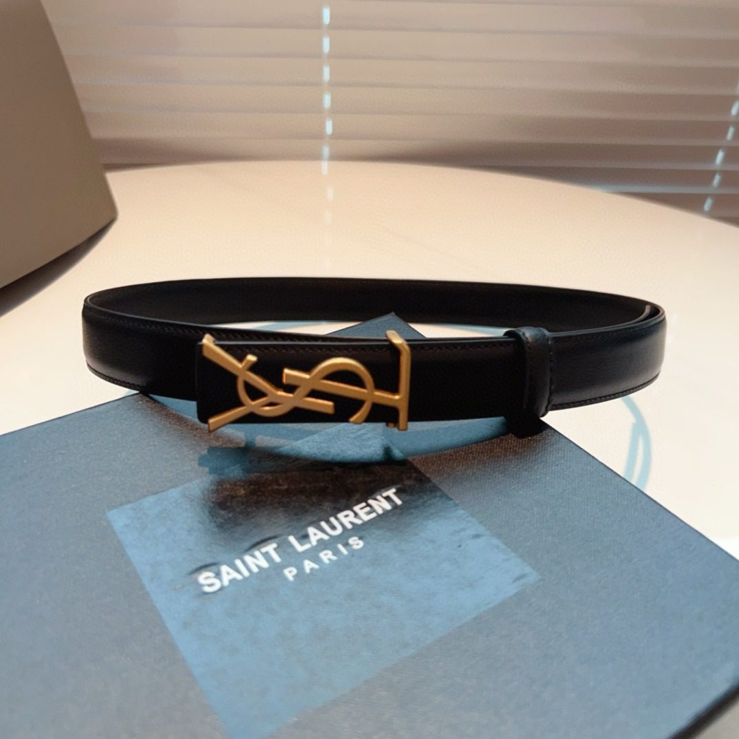 Saint Laurent Paris Logo Belt 2.5cm view 8